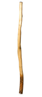 Peter Sherwood Didgeridoo (NV127)